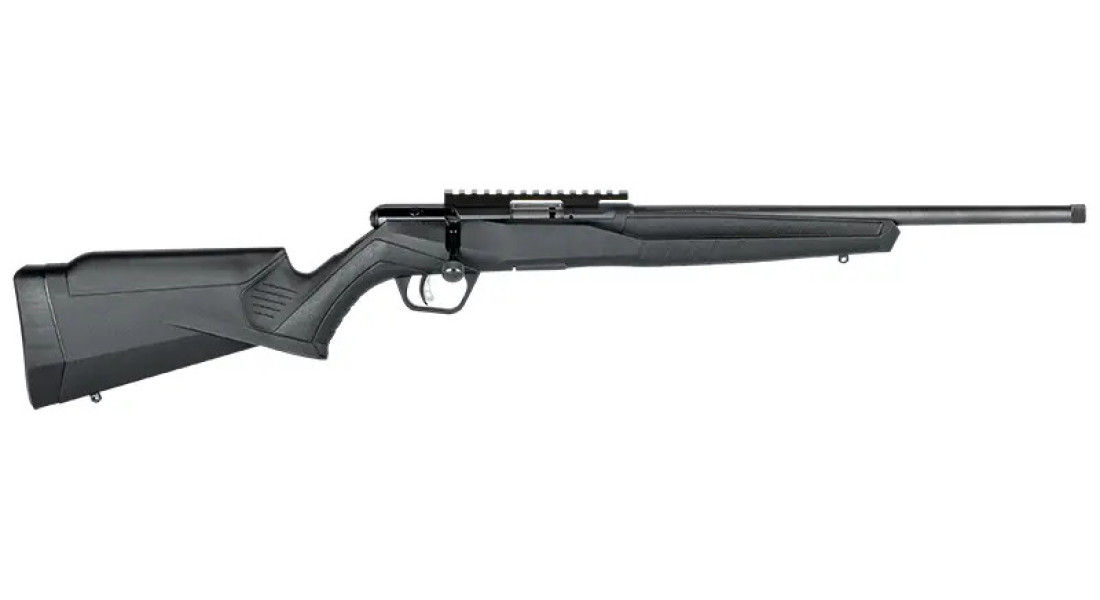 Гвинтівка малокаліберна Savage B17 FV-SR кал.17 HMR 16.25